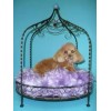 LAZY PAWS Jeweled Princess Pet Bed - Lavender
