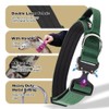 TSPRO Premium Dog Collar with Handle and Heavy Duty Quick