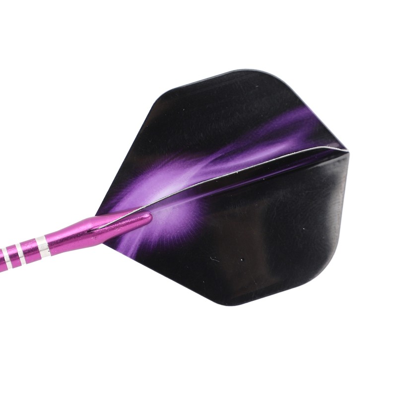 Darts Metal Tip Set Professional Darts with Stylish Case Steel