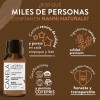 Aceite Esencial De Canela Puro 15ml Para Difusor Y Aroma