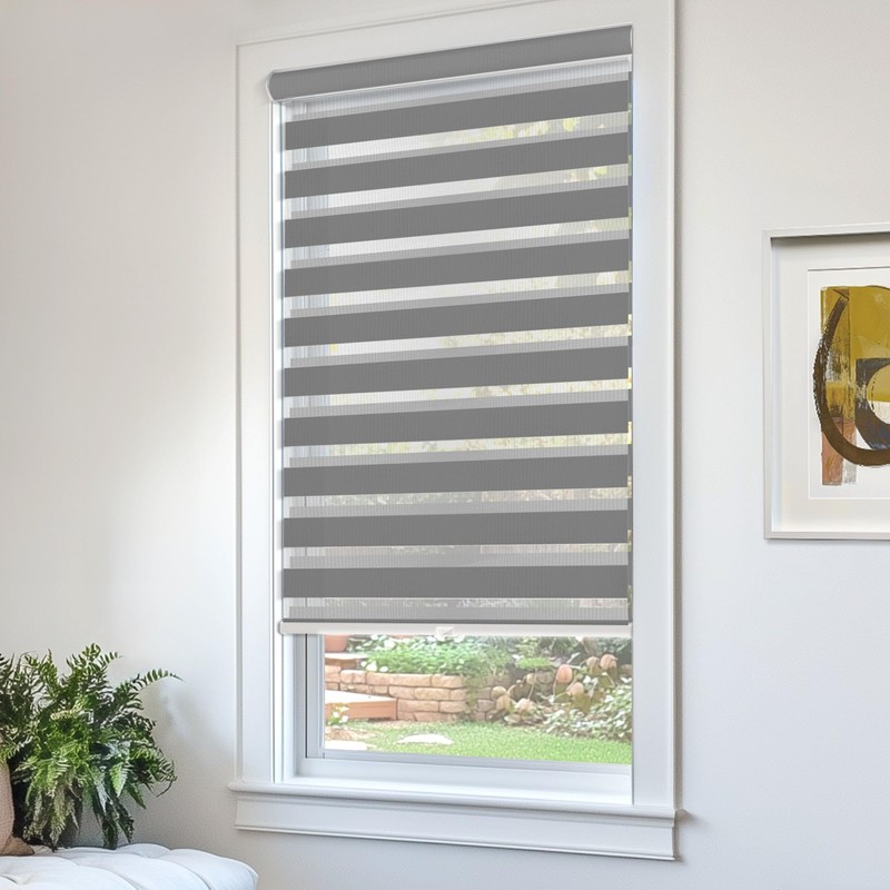 CHICOLOGY Zebra Blinds, Roller Window Shades, Blinds for Windows, Roller