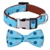 Rhea Rose Bowtie Dog Collar Blue Polka Dots Small