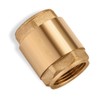 One Way Check Valve 3/4" Female Backflow Preventer, Check Valve