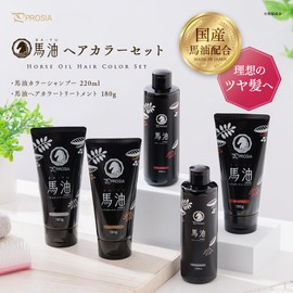 Prosia Horse Oil, Hair Color Treatment + Color Shampoo, Natural Black, Hair Color, Gray Hair Care, Shampoo, Treatment, Gray Hair, Gradually Dyed, Moisturizing Ingredient, Curl Care, Hair Care, Made in