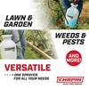 Chapin USA 20005 Pump Sprayer, 2 Gallon, Lawn and Garden,