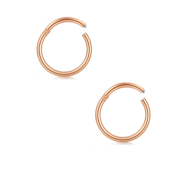 AceFun Nose Ring Hoops Helix Daith Cartilage Tragus Sleeper Earrings