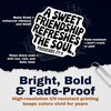 Inspirational Proverbs Magnets Magnet - Sweet Friendship Refreshes Soul -