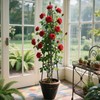 Alisisfores 5.2 FT Obelisk Trellis for Climbing Plants,Garden Trellis with