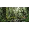AWERT Foggy Forest Terrarium Background - Stream Green Huge Tree