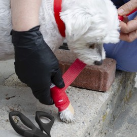 Emergency Zone - Small Dog Emergency Survival Kit - Bug Out, Emergency, Travel Kits, First Aid - Deluxe