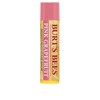 Burts Bálsamo Labial Pnk Grpfrt Tamaño .15 O Burts Bee