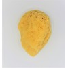 Natural Sea Cotton Body Sponge Made in Greece