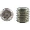 Set Screws Stainless Steel A2 Set Screws Worm Screws with