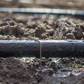 Relaxdays Securing Pegs Set of 25, Stainless, Bevelled Tips, Drive In, 15 cm Long, Galvanized Steel, Silver