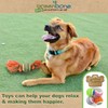 Greenbone Wonderpet! Pull n Play Tennis Ball Toys - Small