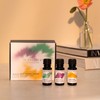 Lifestyle Blends Lifestyle Trio Essential Oil Set