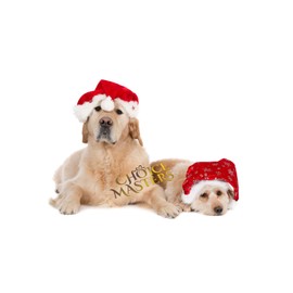 Santa Hat Christmas Hats for Adults Kids, 3packs Budget Novelty Christmas Hats for Kids Adults Dog Pets, Funny Luxury New year Xmas Christmas Gifts Decorations for Women Men