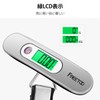 FREETOO Travel Luggage Scale, 2nd Generation Chip, For LCC, Portable,