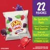 Funables Fruity Snacks, Mixed Berry Flavored Snacks, 0.8 oz 22