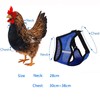 Pack of 2 Chicken Harness with Lead, Adjustable Chicken Harness