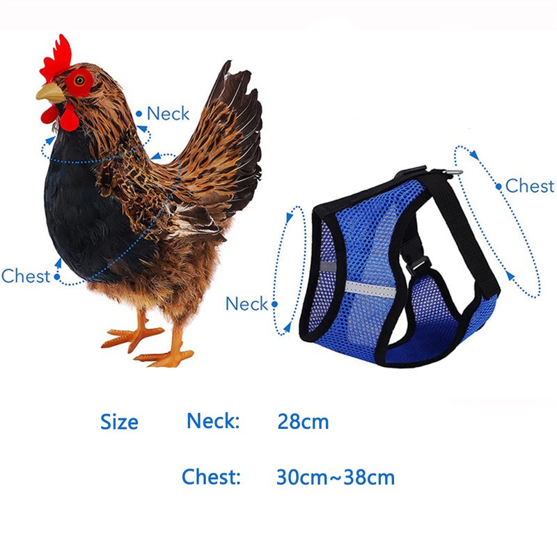 Pack of 2 Chicken Harness with Lead, Adjustable Chicken Harness