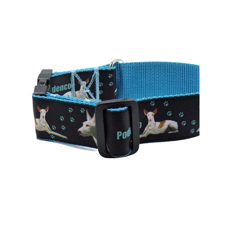 Halsband "Podenco" Größe SM bis 40 cm Halsumfang