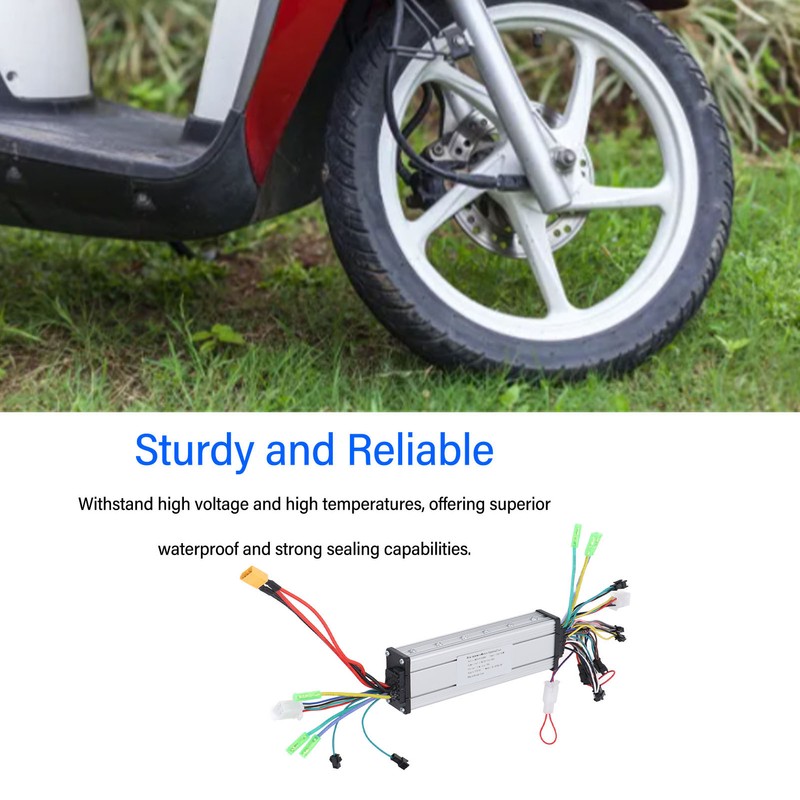 Brushless Motor Controller Dual Drive 24V 36V 48V 250W 350W
