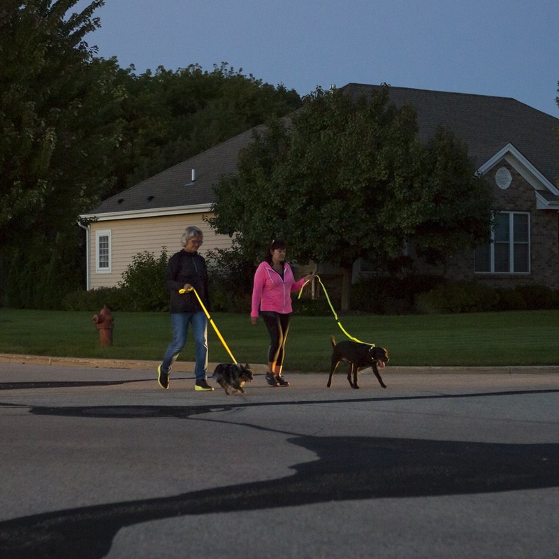 Elive Led Adjustable Dog Collar Small-Light Blue