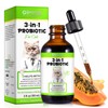 3-in-1 Probiotics for Cats with Digestive Enzymes & Prebiotics –
