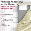 Greenline Premium Jersey Fitted Sheet Made of 100% Cotton Champagne