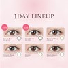 [Rino Ishihara Produce Color-Control] TOPARDS (Topaz) One Day, 10 Pieces,