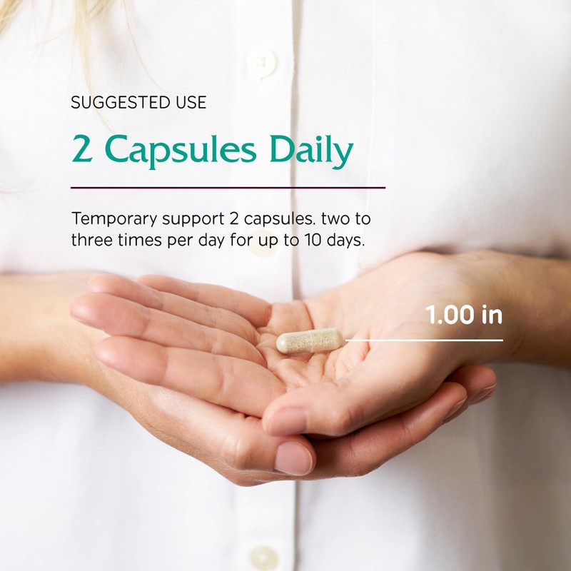 Vitanica Lysine Extra, Immune System Support, Vegan, 60 Count