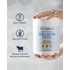 BioOptimal Collagen Peptides Powder - Grass-Fed, Pasture-Raised Hydrolyzed Protein Supplement