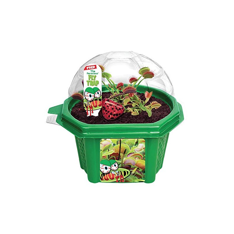 Toys By Nature Character Micro Domes Fred The Ferocious Flytrap