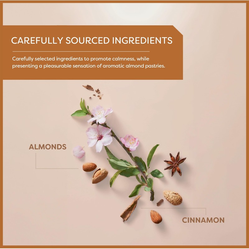 Wissotzky Almond Charm Herbal Tea Bags (6 Pack - 120