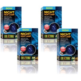 Exo Terra Night-Glo Moonlight A19 Lamp, 50-Watt (4 Pack)