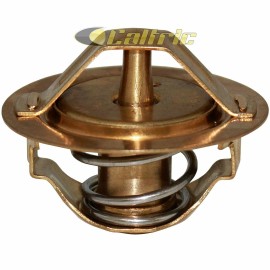 Caltric Thermostat for Kawasaki Ninja ZX-6R ZX636 2003 2004 2005 2006 2013 2014 - 2020