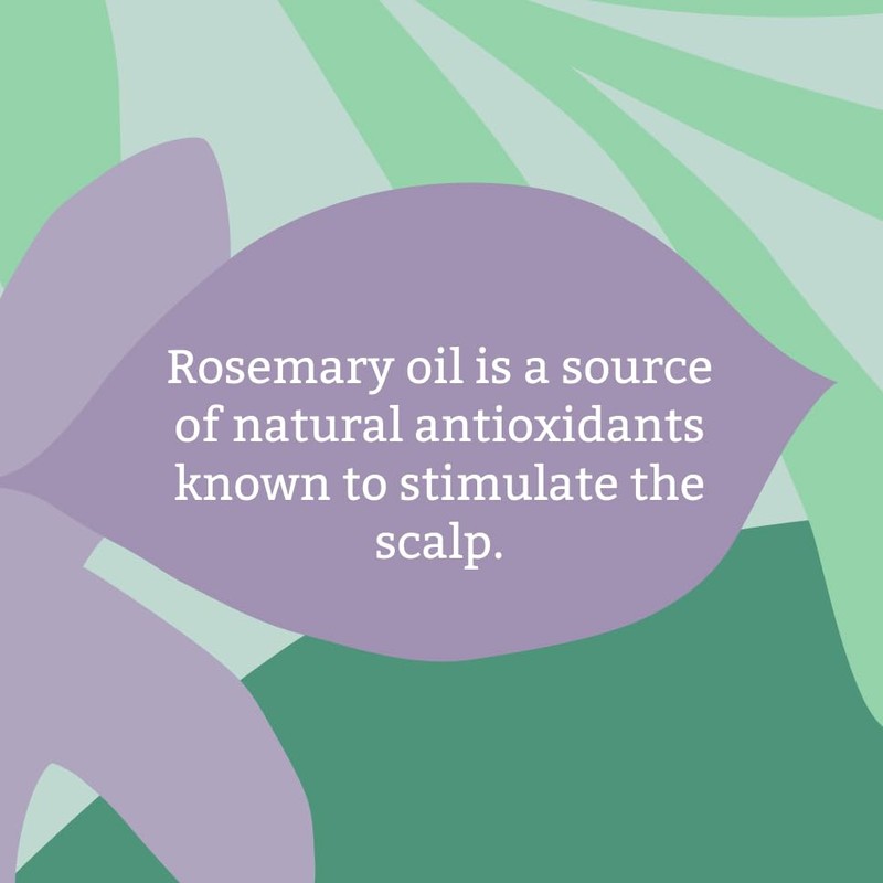 Rosemary Conditioner 300ml