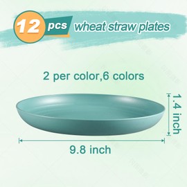12 Pcs Wheat Straw Plates, 9.8 inch Unbreakable Deep Dinner Plates Set, Reusable Plastic Plates, Microwave and Dishwasher Safe Plates for Kitchen, Lightweight Plates for Dessert, BPA Free, 6 Colors