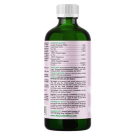 GARDENWISE 0-3-2 African Violet Fertilizer for Indoor Plants: Concentrated Plant Food – Plant Fertilizer, Bloom Booster for All Violets, Indoor Flowering Plants, Vigorous Growth and Blooming (32 OZ)