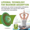 800 MG Liposomal Sulforaphane, Powerful Dual-Delivery for Maximum Absorption &