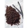 MADAGASCAR Ground Vanilla Powder 50 GRAM