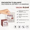 Blend Cacao En Polvo Mix Hongos Adaptógenos Reishi Chaga 60g