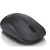 Lenovo Wireless Basic Mouse, Black