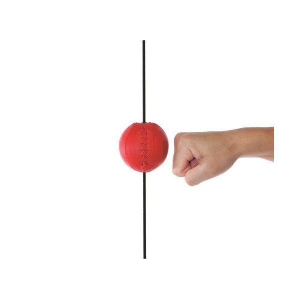 WINNING Punching Ball SB-9000