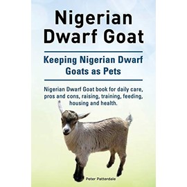 Nigerian Dwarf Goat. Keeping Nigerian Dwarf Goats as Pets. Nigerian Dwarf Goat Book for Daily Care, Pros and Cons, Raising, Training, Feeding, Housing and Health.