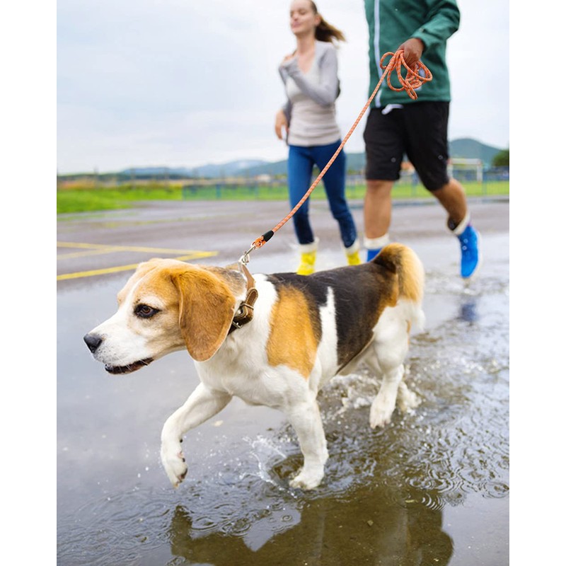 100FT Extra Long Dog Leash for Dog Training, Reflective Threads