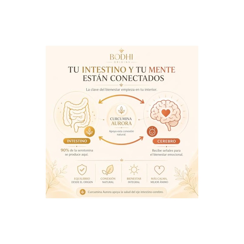Aurora Bodhi Origins Curcuma 300 mg con Schisandra Bacopa y