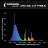Giesemann AquaBlue Coral 54W 48" T5 HO Lamp
