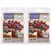 2 Pack Wild Berry Cheesecake Better Homes and Gardens Wax